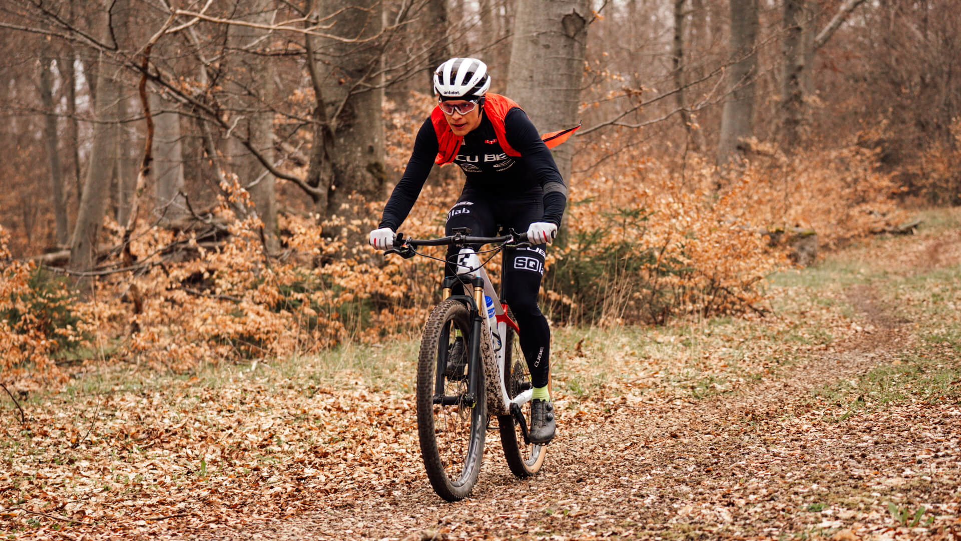 antidot-gtr-team-partner